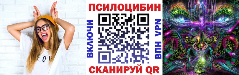 Псилоцибиновые грибы Magic Shrooms  гидра сайт  Никольск  купить  